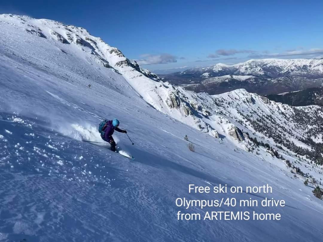Artemis Home Petra  Bagian luar foto